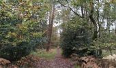 Tour Wandern Châteaubourg - Forêt Marpiré  - Photo 2