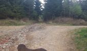 Trail Walking Nassogne - Vers les bisons - Photo 8