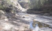 Excursión Senderismo Aubignosc - AUBIGNOSC.  Vieil Chateau Neuf  , canyons o l m s - Photo 18