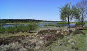 Tour Zu Fuß Unknown - Bølling Sø rundt - Photo 9