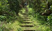 Excursión Senderismo Flamengos - FAI GR01 : De volcan en volcan, Faial, Azores - Photo 16