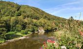 Tocht Stappen Vresse-sur-Semois - rando laforêt 6/08/2020 - Photo 13