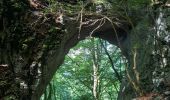 Trail Walking Saint-Julien-en-Vercors - La porte du Diable - Photo 6