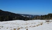 Trail Walking Gérardmer - Les Bas-Rupts - Les Hautes Vannes
[Par Les Lattes - 3]  - Photo 9