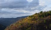 Tour Wandern Lucéram - Luceram - Col de l'Orme et retour - Photo 3