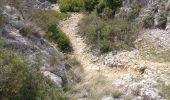 Tocht Noords wandelen Toulon - château vallon  - Photo 3