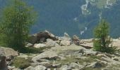 Tocht Te voet Chiesa in Valmalenco - (SI D24N) Rifugio Longoni - Rifugio Palù - Photo 1