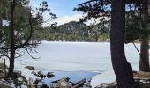 Randonnée Raquettes à neige La Llagonne - Les Bouillouses.( 66 MT LOUIS ) Pla des Aveillans-barrage des Bouillouses  - Photo 20