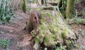 Trail Walking Bozouls - CARCUAC - Photo 2