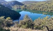 Trail Walking Esparron-de-Verdon - Autour d esparon - Photo 10