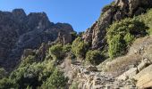 Trail Walking Corscia - Corscia par l’ancienne Scala, retour par les gorges de la Ruda - Photo 3