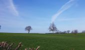 Tour Wandern Vuren - 2022-11-11_17h35m36_wandelroute-de-voerstreek-mooiste - Photo 9