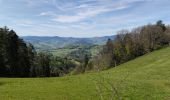 Tocht Mountainbike Aubure - Fréland Kalblin - Photo 1