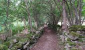 Tocht Stappen Ax-les-Thermes - chemin de petch - Photo 2