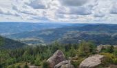 Tour Wandern Lützelhausen - Rocher de Mutzig (variante) - Photo 15