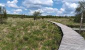Trail Walking Waimes - baraque michel - botrange via fagne de polleur, retour via fagne wallonne  - Photo 17
