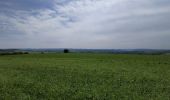 Trail Mountain bike Saint-Clément - Sortie vtt 09062019 Buriville Hablainville Glonville - Photo 4