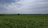 Excursión Bici de montaña Saint-Clément - Sortie vtt 09062019 Buriville Hablainville Glonville - Photo 4