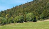 Randonnée Marche Saint-Maurice-sur-Moselle - Rouge Gazon - Lacs des Perches et du Neuweiher - Col des Charbonniers  - Photo 8