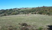 Tocht Stappen Lieutadès - Les Mazes - Lieutadès - Photo 7