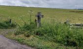 Tour Wandern Hohenfels - Houffalize 270622 - Photo 3