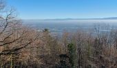 Tour Wandern Häusern (Oberelsass) - Husseren les Châteaux - Photo 7