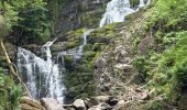 Trail Walking Killarney Municipal District - Muckross House and the Torc water falls - Photo 12