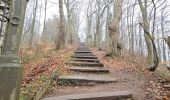 Percorso Marcia Waimes - Extratrail de Malmedy 🥾 - Photo 14