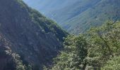 Tocht Stappen Val-d'Aigoual - les cascades de l'aigoual par seyrerede - Photo 6