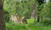 Tocht Stappen Voerendaal - Balade des châteaux  - Photo 18