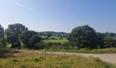 Tour Wandern Hotton - Deulin-melreux-monteuville - Photo 4