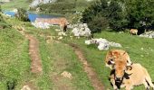 Tocht Stappen Cangas de Onís - Covadonga tour des lacs  - Photo 9