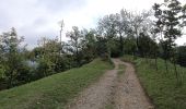 Excursión A pie Calolziocorte - Sentiero 801: Sentiero della valle San Martino - Photo 7