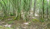 Trail Mountain bike Saint-Clément - sortie vtt du 07062020 Embermenil - Photo 9