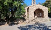 Trail Walking La Garde-Freinet - La Mourre, La Garde-Freinet-22-05-24 - Photo 1