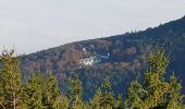 Tour Wandern Ottrott - Ottrott - châteaux d'Ottrott - Mont St Odile par le sentier des Merveilles - Photo 8