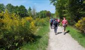 Trail Walking Rambouillet - 2022-05-01_EtangCoupeGorge_MaresDeVilpert - Photo 1