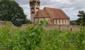 Trail Walking Châtenois - Le Hahnenberg et les balcons de Sélestat - Photo 7