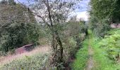 Trail Walking Vireux-Molhain - Vireux Molin 10 km - Photo 2
