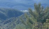 Randonnée Marche Cuges-les-Pins - Cuges le tour des jas  - Photo 13