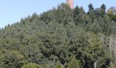 Tour Wandern Philippsburg - Étang de Hanau / Circuit de découverte  - Photo 15