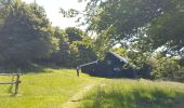 Tour Wandern Kirchberg - 2020-06-24 DW35 Au-dessus du lac Lachtelweiher - Photo 10