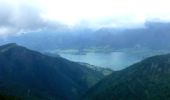 Tocht Te voet St. Wolfgang im Salzkammergut - Auerriesenweg - Photo 10