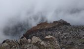 Percorso Marcia Ilha - 2025-03-30  Pico do Risco - Photo 2