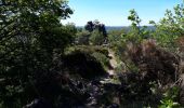 Trail Walking Aumessas - Aumessas-27-05-21 - Photo 1