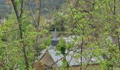 Tocht Stappen Bouillon - rando rochehaut 11 /05/2021 - Photo 2