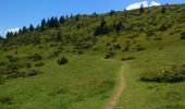 Tocht Stappen Luttenbach-près-Munster - Autour du Petit Ballon et ses fermes auberges - Photo 2