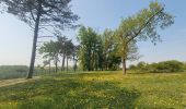 Tocht Stappen Ferrières - rando sy 3-05-2022 - Photo 5