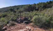 Tour Wandern Bagnols-en-Forêt - Le château du diable - Photo 3