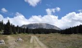 Trail Walking Saint-Agnan-en-Vercors - Aiguillette ou Petit Veymont par la Coche - Grande Cabane - Photo 1